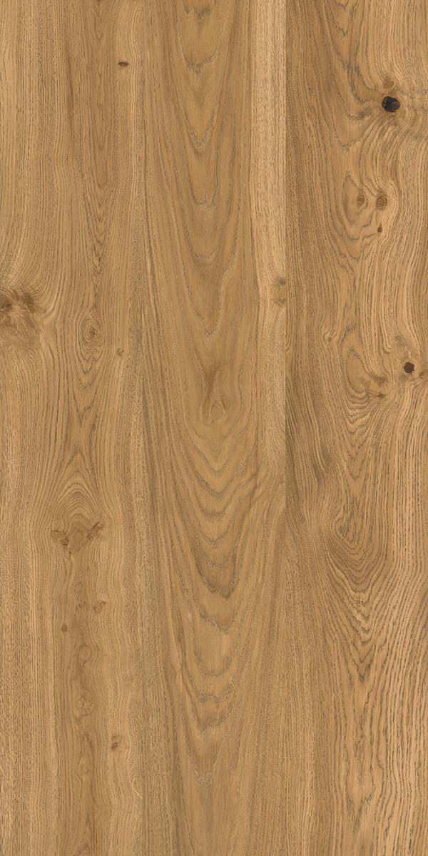 Brushed Oak 4